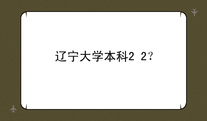 辽宁大学本科2+2？