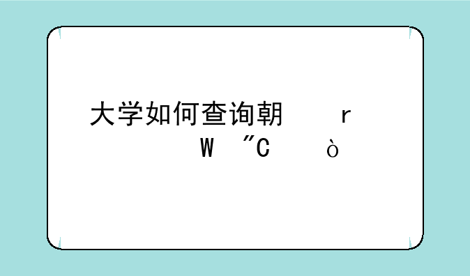 大学如何查询期末考试成绩？