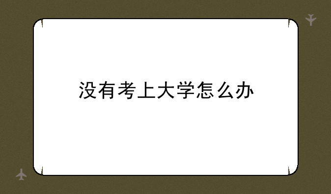 没有考上大学怎么办