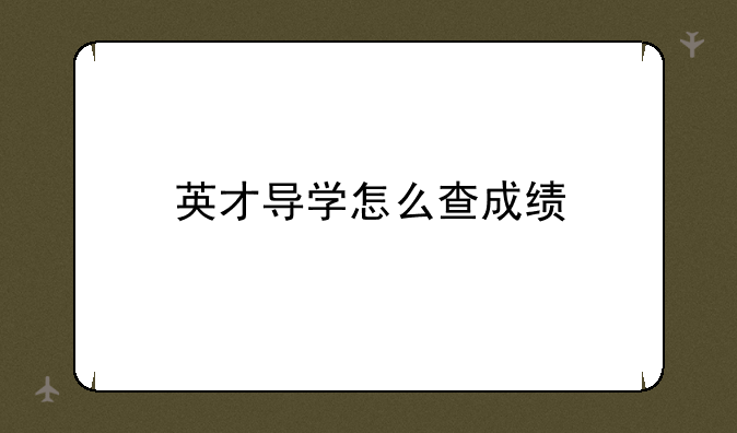 英才导学怎么查成绩