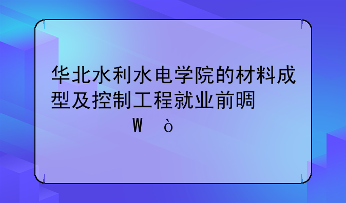 华北水利水电学院的材料成型及控制工程就业前景如何？